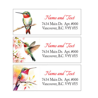 Set 30 Personalized Return Address Labels Hummingbird and Flowers Pattern