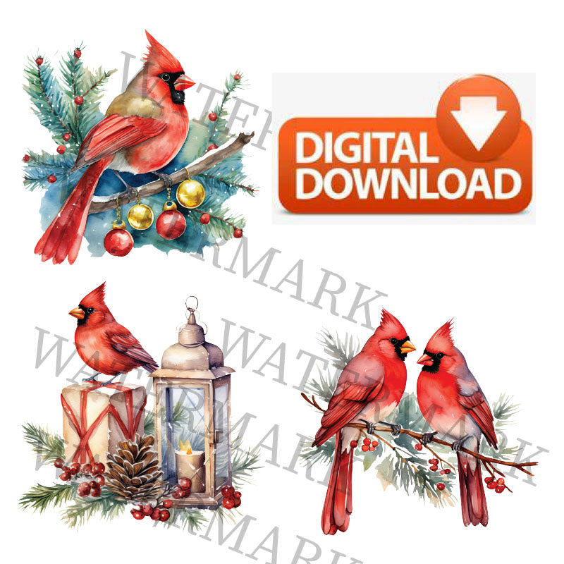 Digital Download Clipart Christmas Themed Watercolor Red Bird Cardinal Pattern PNG clear background