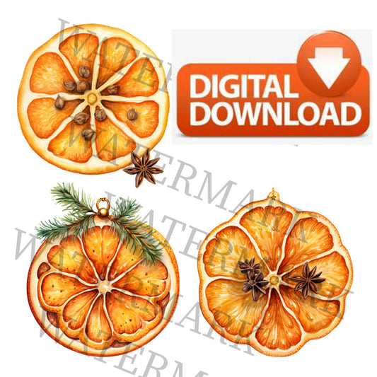 Digital Download Clipart Christmas Themed Watercolor Dry orange slice with pine leaf Star Anise Ornament Pattern png clear background